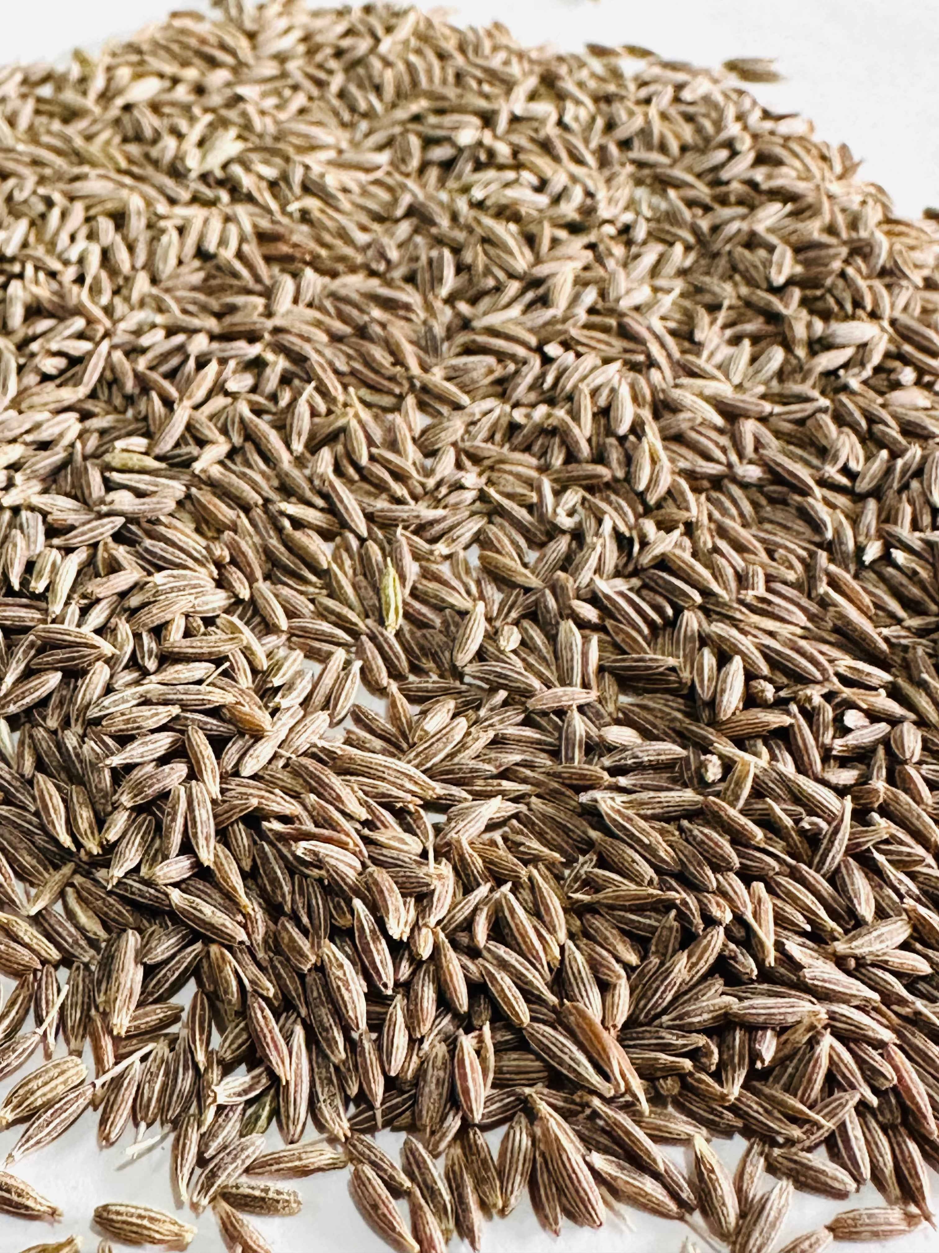 Cumin Seeds (Jeera) 100gm
