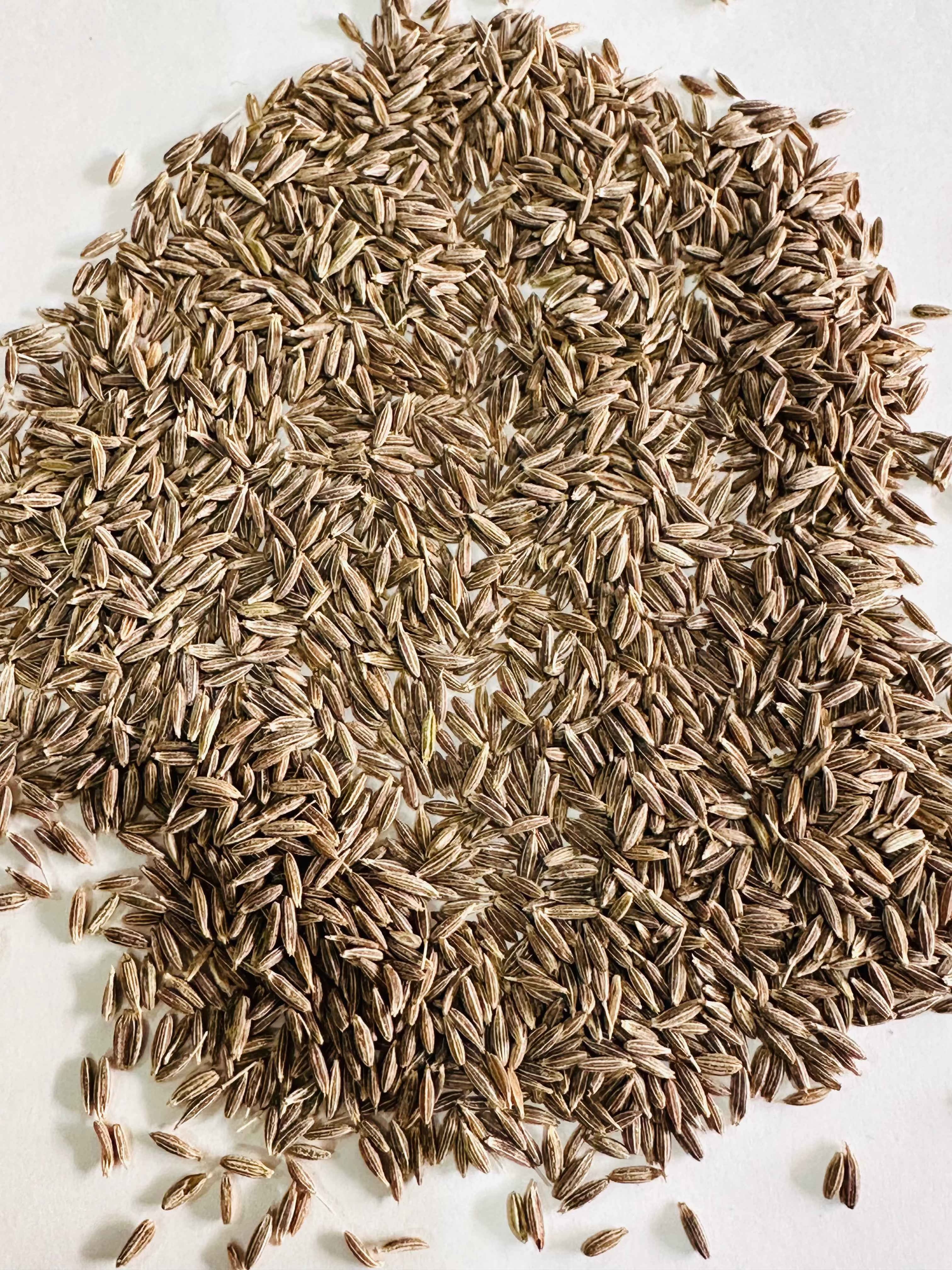 Cumin Seeds (Jeera) 100gm
