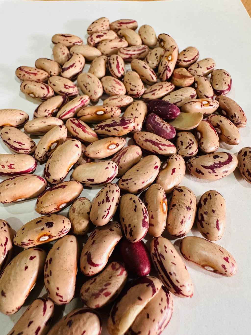 Pinto Beans (Chitra Rajma) 500gm